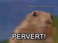 Dramatic Chipmunk Pervert