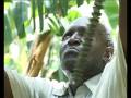 Planting Progress - Kenya - December 9