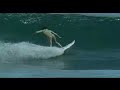 surf surf