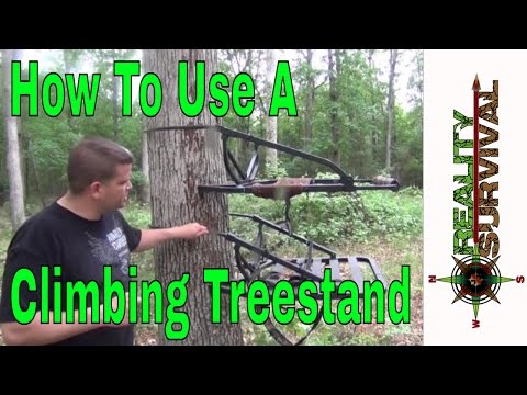how to use a climbing tree stand