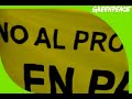 Condorazo Ambiental 2008