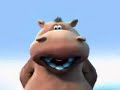 hippo dog cat