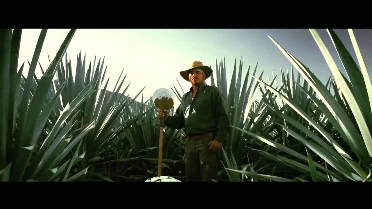 https://www.youtube.com/embed/YLfKA2anZr0
