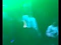 Pogues - Fiesta Clip 2006