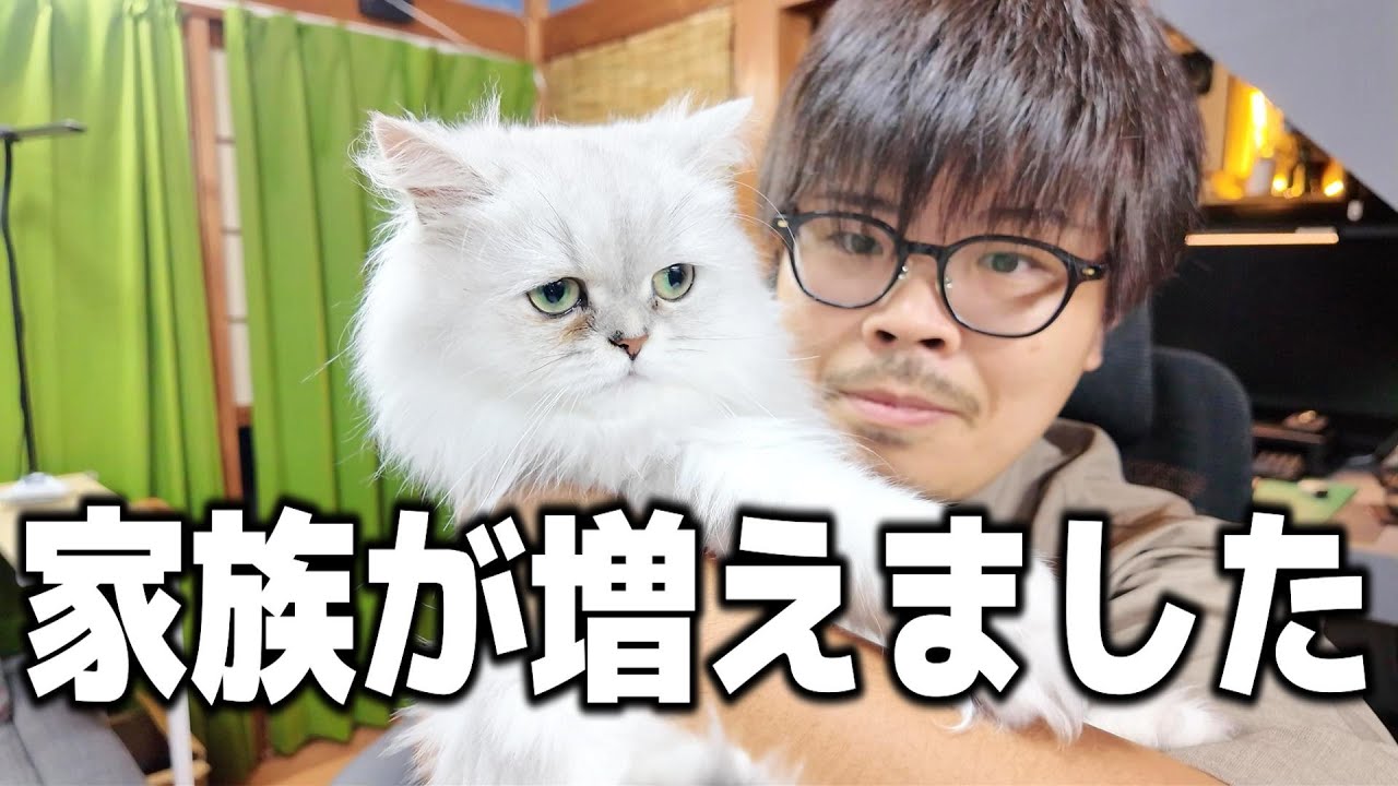 動画2