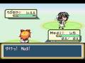 Insectduel Plays Touhoumon - VS. Tsukasa