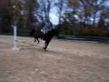 videos de Rolex jumping crossrail