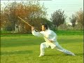Third Dan Wushu Staff