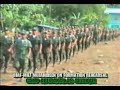 BIAF FORCES