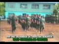 videos de BIAF FORCES
