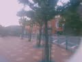 Stoners day out (30 sec)