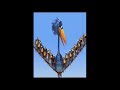 For The Birds (pimped)