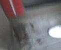 robert i los 4 donetes! =D