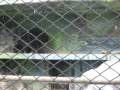 Zoologico Santa Fe 151