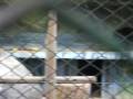 Zoologico Santa Fe 151