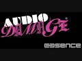 Audio Damage - Garlic Breath Tosser ( Stylez Meets Tonteufel Remix)