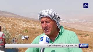 ناشطون فلسطينيون يقيمون قرية زراعية في بلدة طمون بالأغوار الشمالية المحتلة  - (22-9-2019) ناشطون فلسطينيون يقيمون قرية زراعية في بلدة طمون بالأغوار الشمالية المحتلة  - (22-9-2019)