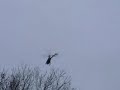 Caliber xp400 flown by Dave Wilshire.wmv