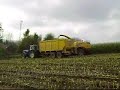 Loonbedrijf Veys L