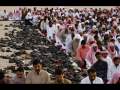 Allah,Muhammad PBUH,muhammad saw