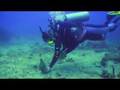 Diving Plongée Tauchen - Dominica