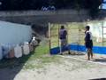 PMMA Alumni Class 1999 Fun Shoot Part II at Manila Traffic & Parking Bureau