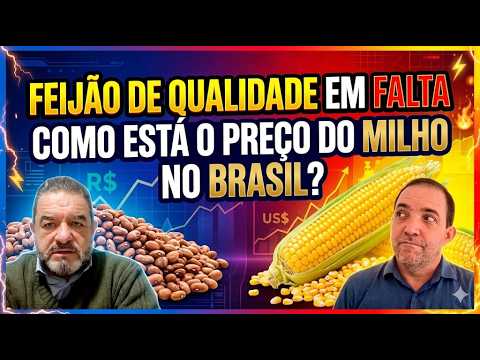 Feijão de qualidade em falta; Milho: Preços no Brasil, dólar e Chicago