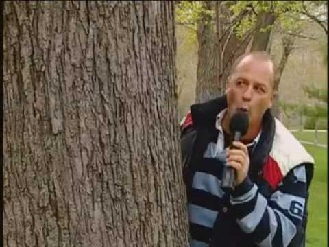 Perro imitando a otros animales - Cámara Escondida