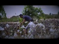 Making of Binifadet - verano 2012