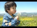 Meio Ambiente - Educação e Consciência Ambiental