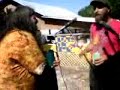 tim mason talks of the kerrville festival