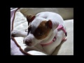 Roxy 2008-2012