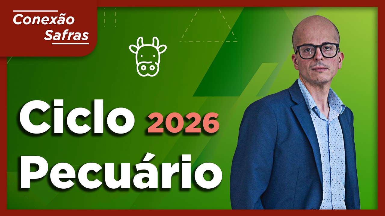 Bezerro no Recorde e Boi Gordo Mais Caro em 2027? - Conexão Safras
