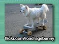 ultra-kawaii-the-cute-games-kitty-skateboarding.html