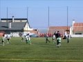Campeonato de Traquinas e Petizes