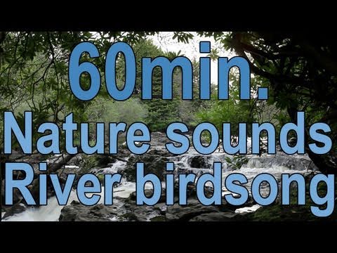 johnnielawson - 1 Hour of Relaxing Sounds of Nature, the Soothing Sound Bird Song and a Tranquil Waterfall. Use these Peaceful Sounds of Flowing Water and the Dawn Chorus fo...