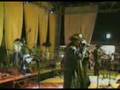 Amante norteño(el palomito)