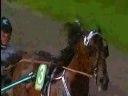 maharajah, solvalla 10092008