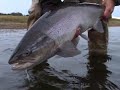 Argentina - Flyfishing Rio Gallegos - Seatrout Flyfishing