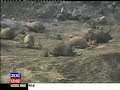 ethniki symfora - Εθνική Συμφορά !!!fotia katastrofi fire in the forest pyra pyrkagia ilia peloponniso peloponnisos pinios platiana ilias ND Nea dimokratia pasok KKE LAOS earth in fire ellada greece greek fire sos big kalamata karamanlis zaxaro rodina ekloges bouleutikes 2007 katastasi ektaktis anagis kyriksi se katastasi ektaktou anagis i ellaga! 2007 augoustos ethniki tragodia 42 nekroi fotia stin ilia 2007 megali fotia zaxaro me 43 kai 60 nekrous fotia megalopoli peloponniso 1 ant1 2007 mega empristikos mixanismos ston ymito 2007 diagelma prothipourgou 2007 megaro maksimou lost people more than 52 deaths dead forest in greece airoplaine EKAB keratea help megali fotia sti dei sto laurio 2007 nekroi cnn bbs sky news the times ... gia tin fotia arkadia tourkoleka xorio xwrio diloseis mpakogiani gia tin fwtia kai E.E. Europi Europe help from france kaigetai to monastiri agias skepis me kalogerous 2007 fotia sta kalibia attikis fire in athens stamoulis Sto aliberi i megali fotia katastrofi prin apo ligo olympos kalyviwn kalibion tipota nothing    brina olympias Sustainability   forests   Oregon   wildfire   fire   fighting   thinning   Fitzgerald   OFRIφωτιά καταστροφή χωρίς προηγούμενο ηλεία πυρά πυρκαγιά Πελοπόννησος Πελοπόννησο Πηνειός Πλατίνα ηλείας ΝΔ Ν.Δ. Νέα δημοκρατία ΠΑΣΟΚ ΚΚΕ ΛΑΟΣ γη φωτια Ελλάδα ελληνας σοσ μεγάλη καλαμάτα Καραμανλής Ζαχάρω Ροδινά Εκλογές Βουλευτικές 2007 κατασταση έκτακτης ανάγκης Κήρυξη σε κατασταση έκτακτου ανάγης η Ελλάδα! ! 2007 Αύγουστος εθνικό Πένθος εθνική Τραγωδία 47 νεκροί φωτια στην ηλεία 2007 μεγάλη φωτια ζαχάρω με 55 και 60 νεκρούς φωτιά στην μεγαλοπολη Αντ1 μεγα  εμπρηστικός μηχανισμός στον Υμηττό διάγγελμα προθυπουργού μέγαρο μαξίμου θανατος δάσος δάση αεροπλανο αεροπλάνα canader πυροσβεστικό ΕΚΑΒ Κερατέα βοήθεια φωτιές στη ΔΕΗ στο λαυριο 2007 νεκροί cnn bbs sky news the times για την φωτιά!!! ... αρκαδία Τουρκολεκα χωρια χωριο δηλώσεις της κ. Μπακογιάννης για την φωτια και Ε.Ε. Ευρώπη Ευροπαϊκή Ένωση βοήθεια από γαλλία καιγεται το μοναστήρι της αγιας σκέπης με καλόγερους φωτια στα καλύβια αττικής φωτια στην αθήνα Σταμούλης Στο Αλιβέρι η Μεγάλη φωτιά Ολυμπος καλυβίων ΤΙΠΟΤΑ Βρίνα ολυμπίας  Πάρνηθα κ.ο.κ. ... ΕΘΝΙΚΗ ΤΡΑΓΩΔΙΑ!...zaxaro Ζαχάρω immitos Υμμητός peloponnisos Πελοπόννησος messinia Μεσσηνία fotia φωτιά foties φωτιές pirkagia πυρκαγιάDerveni   Greece   Ilia   Tholo   Θολό   Ολυμπία Ντορας Ntoras Olimpia   Zaharo   Ζαχάρω   TRAVEL   journey   places   Ελλάδα   διακοπές    Εικόνες από τα χωριά της Ζαχάρως...Derveni Greece Ilia Tholo Θολό Ολυμπία Olimpia Zaharo Ζαχάρω TRAVEL journey places Ελλάδα διακοπές Κύριε ΕλέησονGod help uszaxaro   Ζαχάρω   immitos   Υμμητός   peloponnisos   Πελοπόννησος   messinia   Μεσσηνία   fotia   φωτιά   foties   φωτιές   pirkagia   πυρκαγιά