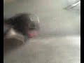 pelon