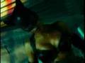 Catwoman-Halle-Berry