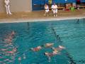 videos de 2008 Warwickshire Championships - Birmingham Synchro 12 & Under Team