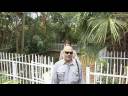 Greenstyle - Backyard Swamp Oasis Greenstyle - Backyard Swamp Oasis