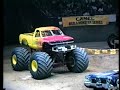 Bigfoot vs Bearfoot