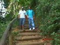 Caminho do Ouro Caminho do Ouro