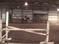 videos de Trakehner stallion Prelude By Mozart Jumping Triple