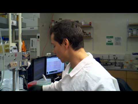 how to dissolve over dried rna