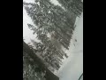 South Lake Tahoe Snowmobiling tour Footage (Dec. 2009)