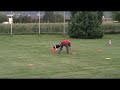 Xeni und Holly - Discdogging - 4. Film